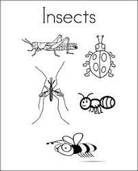 Insect coloring pages for toddlers. 10 Insects Coloring Pages Ideas Insect Coloring Pages Animal Coloring Pages Coloring Pages