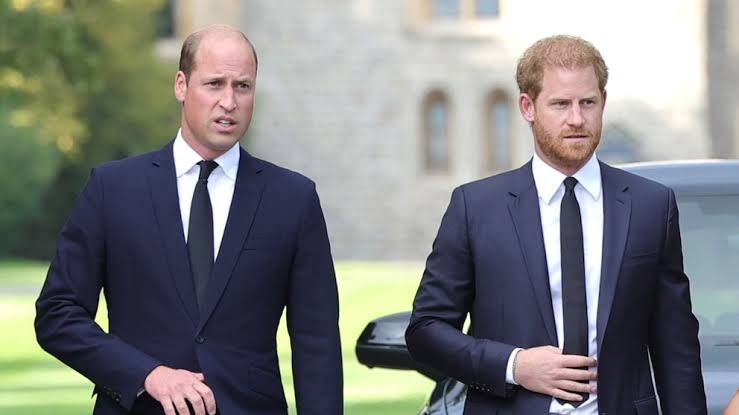 New book sheds light on royal rift between Princes William and Harry