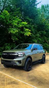 Image result for Dark Yellow Green 2025 Ford