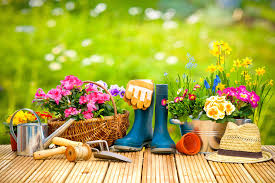 Check spelling or type a new query. Spring Gardening Ideas Things To Do In May Moore Home Improvement