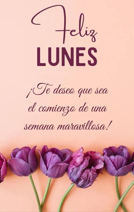 Buen lunes frases | Que tengas una linda semana, Hoy es lunes buenos dias, Imagenes de