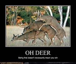 Oh Deer Very Demotivational Demotivational Posters Very Demotivational Funny Pictures Funny Posters Funny Meme