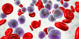 Lipoprotein adalah gabungan antara protein yang larut dalam air dengan lipid. 4 Komponen Darah Dan Fungsinya Yang Wajib Anda Ketahui