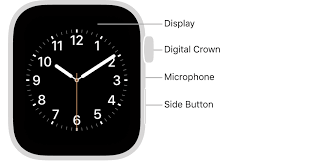 Check spelling or type a new query. Your Apple Watch Apple Support