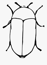Putih hitam (icon packs) (tema) memiliki latar belakang kartun, ikon aplikasi putih hitam, wallpaper hiasan kartun dan efek digital imut. Larder Beetle Clip Arts Kartun Hitam Putih Png Free Transparent Clipart Clipartkey