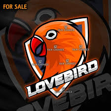 We did not find results for: 65 Ide Logo Bird Logo Burung Vector Logo Di 2021 Burung Murai Desain Logo