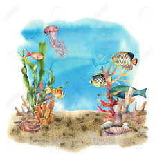 Made to order sea horse coral reef original painting on stretched canvas wrapped on a wood frame. Watercolor Coral Reef Border And Propical Fish Hand Painted Stock Photo Picture And Royalty Free Image Image 96208464