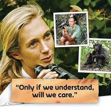 Where's Jane? (Jane & Me: Explore & Find): Amazon.co.uk: Garnett, Jaye,  Green, Rebecca: 9781646380763: Books