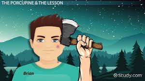 Hatchet Chapter 8 Summary