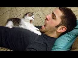 More Kushnir Christmas