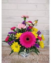 50+ chrysanthemum shasta daisy is a mainstay in the perennial flower garden with its large white blooms and yellow centers. Qlkpx5jhbb3bbm