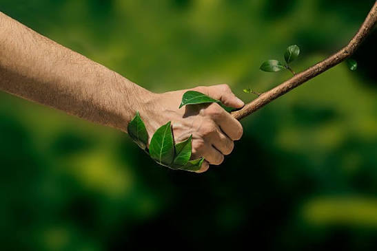Connecting to Nature | Atlas Accessories