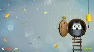 February 17, 2021november 24, 2020 by admin. Cartoon Owl Wallpapers Top Free Cartoon Owl Backgrounds Wallpaperaccess In 2021 Owl Wallpaper Cute Owls Wallpaper Owl Cartoon