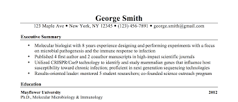 It is suggested for your qualifications summary to be based on your own strengths and they should not be generic in any way possible. The Most Important Thing On Your Resume The Executive Summary Scizzle Blog Resume Writing Samples Resume Summary Examples Sample Resume