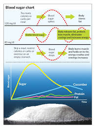 the gi diet the mother of all diets the star online