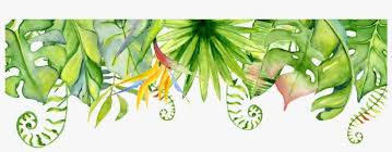 The result is the best quality hand painted stoneware that is not just intended for everyday use but also beautiful and highly collectable. Hand Painted Multiple Varieties Leaves Png Transparent Knows The Birthday Girl Best Game Questions Png Image Transparent Png Free Download On Seekpng