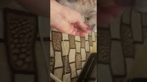 Kedi Kavun Yermi Bakin Bakalim Youtube