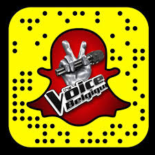 It is part of the international syndication the voice based on the reality singing competition launched in the netherlands, created by dutch television producer john de mol. The Voice Belgique Rtbf Photos Facebook