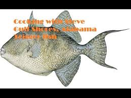 The very simple cooking process can turn into an elegant meal. Trigger Fish An Underappreciated Gem Youtube