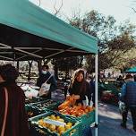 Sammamish Farmers Market — ChocolateSpiel