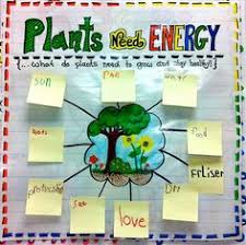 Plants Lessons Tes Teach