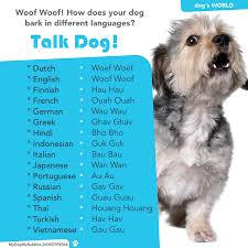 Talk Dog How To Bark In 16 Languages Dog Facts Dog Language Dog People