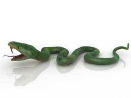 Green Snake 3d Model Download For Free In 2020 Snake Green Snake 3d Model