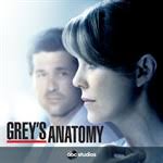 Maybe you would like to learn more about one of these? Buy Grey S Anatomy Season 11 Microsoft Store