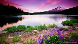 A collection of the top 67 4k nature wallpapers and backgrounds available for download for free. Windows Desktop Backgrounds Nature Windows 10 Desktop Backgrounds