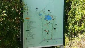 Der englische garten zu eulbach ist nicht wegen seines tierparks ein beliebtes ausflugsziel, sondern auch ein kulturelles kleinod des odenwaldes schlechthin. Englischer Garten Eulbach Bild Von Englischer Garten Eulbach Michelstadt Tripadvisor