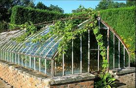 que faire dans la serre en juin serre jardin jardin d hiver maison verte
