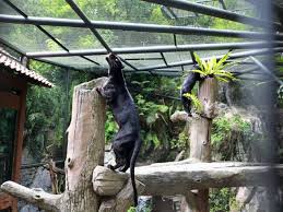 Sunway lagoon has come a long way since its inception in 1997. Wildlife Park Sunway Lagoon