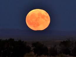 Check spelling or type a new query. Full Harvest Moon Will Illuminate The Night Sky On Friday The 13th Wway Tv