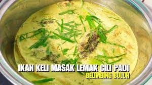 Apakata anda cuba resepi ikan masak lemak cili api ini. Ikan Keli Masak Lemak Cili Padi Dengan Belimbing Buluh Youtube