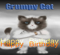 Grumpy Cat Gifs Find Share On Giphy Video Grumpy Cat Birthday Grumpy Cat Cat Birthday Everybody wants to be in the center of attention on this day. grumpy cat gifs find share on giphy