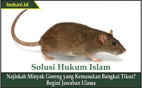 Sama anak durhaka dikutuk jadi mirip anjing. Adab Laduni Id