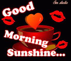 They love to receive your warm love greetings on a good morning. Good Morning I Love You Gif Good Morning I Love You Gifs