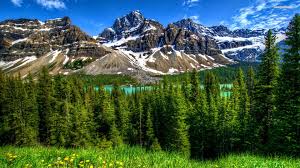 We offer an extraordinary number of hd images that will instantly freshen up your smartphone or. 1920 X 1080 Wallpaper Nature Wallpaper For You