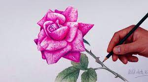 How To Draw And Shade Dahlia Flower Realistic Youtube Flower Drawing Roses Drawing Colored Pencils