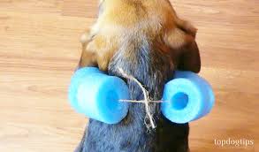 Floating pool chair mesh seats hammock noodle sling swimming net float seat. Dog Collar Out Of Pool Noodle Online