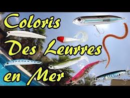 Coloris Des Leurres En Mer Pour Le Loup Bar La Dorade La Seche Et Le Calamar Calamar Coloris Dorade Peche Au Bar Peche Leurre Leurre