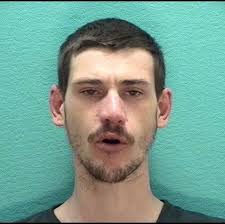 Centerburg man pleads guilty to charges in Homer area police standoff