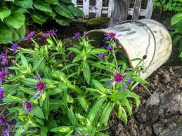 Colorful flowers in their old pots are placed inside this pair of black gumboots. Getting On With Faux Bucket Of Spring Flowers And A Cleaner Flower Bed