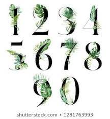 Verisstudio S Portfolio Illustrator Vector Artist Shutterstock Numbers Typography Church Graphic Design Flower Drawing