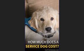 Together with petsmart charities, we help save over 1,500. How Much Do Petsmart Training Classes Cost And What Do They Typically Include Quora
