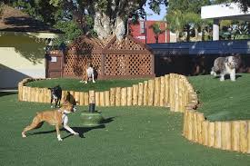 Kayaking & canoeing in santa rosa. The Bone Adventure Cat Playground Outdoor Dog Play Area Dog Playground