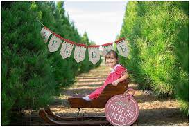Christmas Mini Sessions In San Diego Ana S Christmas Tree Farm Session Christmas Tree Farm Mini Session Christmas Tree Farm Family Holiday Photos