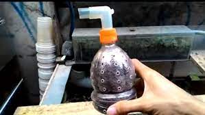 Cara membuat filter aquarium dari botol bekas punya botol bekas jangan dibuang gan, manfaatin dan jadiin filter untuk aquarium. Cara Membuat Filter Aquarium Menggunakan Aerator Diy Sederhana Hobinatang