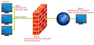 Diese, für den schutz von sandblast network ideal konzipierten gateways, sind mit über 60 innovativen sicherheitsservices perfekt gewappnet, cyberangriffe der fünften generation zu verhindern. Firestorm Security Flaw Discovered In Next Gen Firewalls