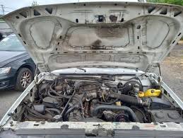 Image result for Pumice 1996 Ford